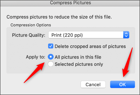 where is file options advanced image size tab in word for mac